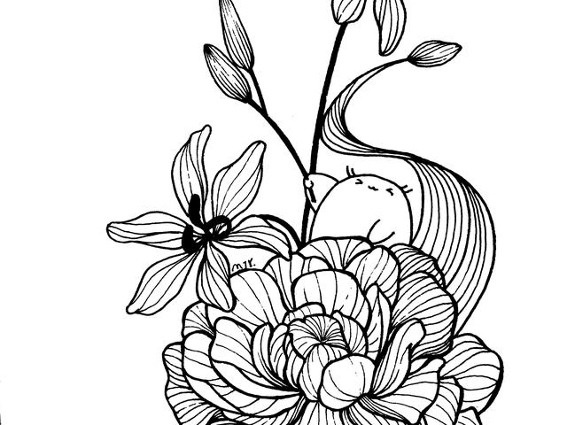 初学画画如何入门，画画入门初学技巧（好看的入门简笔画）