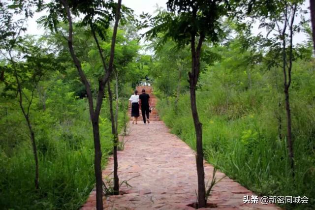 伏羲山在哪个地方，伏羲山多高（郑州伏羲山旅游攻略）