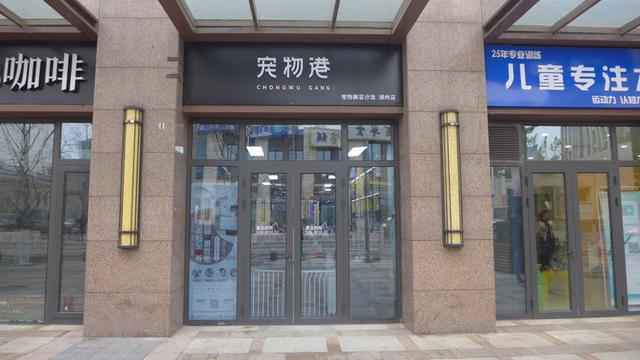 简洁宠物店名字高端，简洁宠物店名字高端可爱（发现一家有爱又上档次的宠物店）