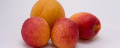 桃子可以减肥吗，每天吃桃子可以减肥吗（这五款水果吃了减肥效果杠杠的）