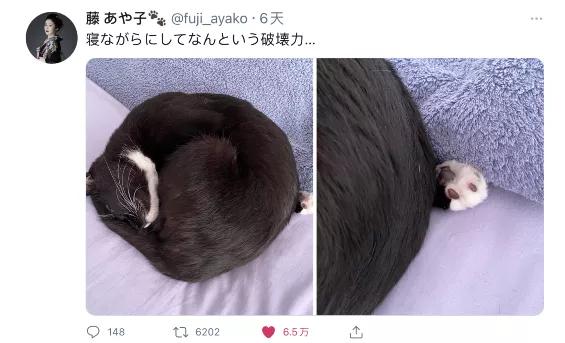 可爱表情包.抱我的小猫腿舔我的jio，微信头像，可爱表情包.抱我的小猫腿舔我的jio（却把评论区逼成了恋jio癖哈哈哈）