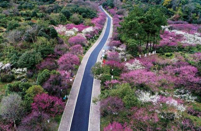 杭州有哪些旅游景点，杭州旅游景点有哪些（浙江省杭州市4A、5A级旅游景区名录）
