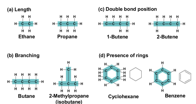 硅基生物是什么，硅基生物需要呼吸吗（科学家称火星上长蘑菇）