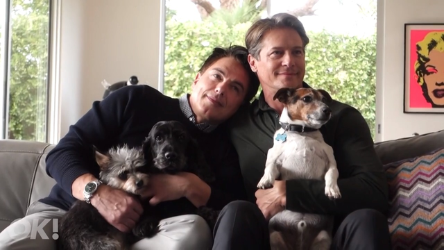 火炬木小组下载，英国最甜情侣是他俩（火炬木小组第一季在线下载）