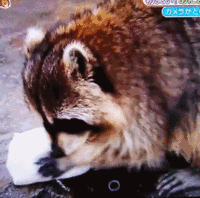 洗洁精是酸性还是碱性，立白洗洁精是酸性还是碱性（全方位测评。关系到健康的东西可不能马虎）