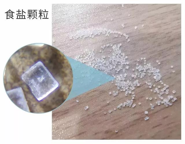 显微镜观察洋葱表皮细胞步骤，怎样使用显微镜观察洋葱表皮细胞正确步骤（放大120倍看世界）