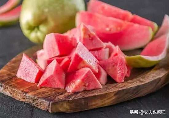 番石榴的功效与作用，亩产达9000斤（番石榴的功效与作用、禁忌和食用方法）