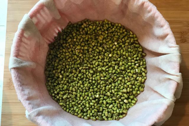 如何自种绿豆芽，怎样自己种绿豆芽（不用土壤不用肥料）