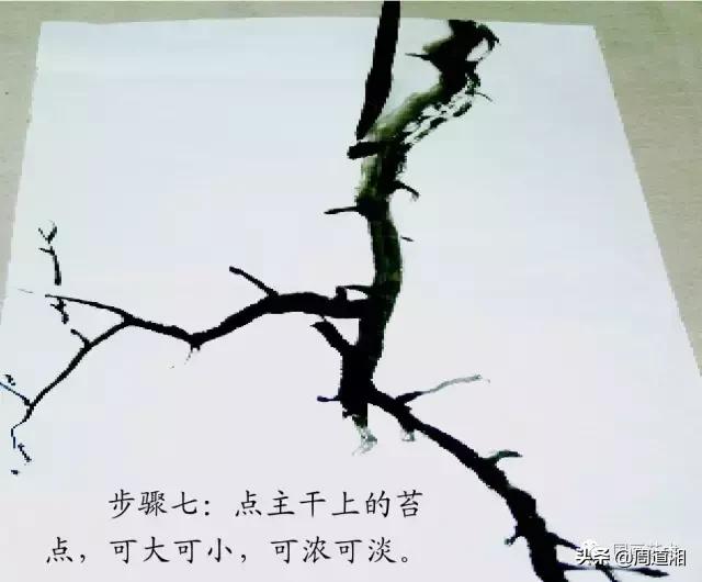 梅花13怎么手绘画，教梅花13怎么画（国画入门教程——梅花的画法）