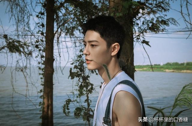 网络红人帅哥排行榜，厦门红人排行榜（冠军实至名归）