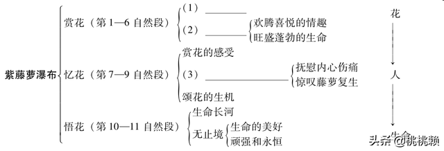 紫藤萝瀑布写作背景，紫藤萝瀑布写作背景资料（七年级下册语文第17课《紫藤萝瀑布》重难点）