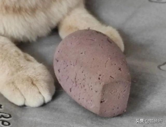 怎么防止猫咪抓沙发，怎么防止猫咪抓沙发跑（终于找到让猫咪不挠沙发的办法了）