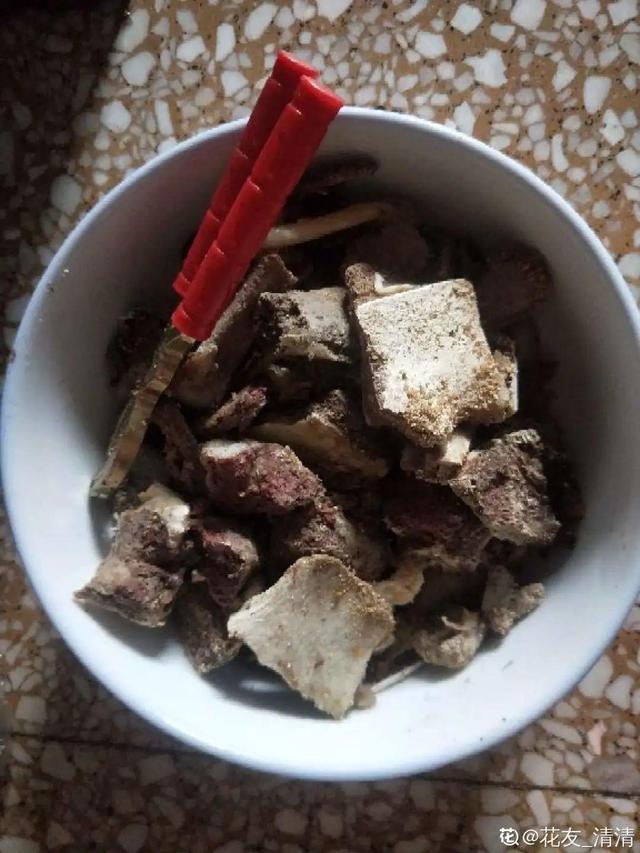 如何自制氮肥，自制氮肥怎么做（氮磷钾肥别买了）