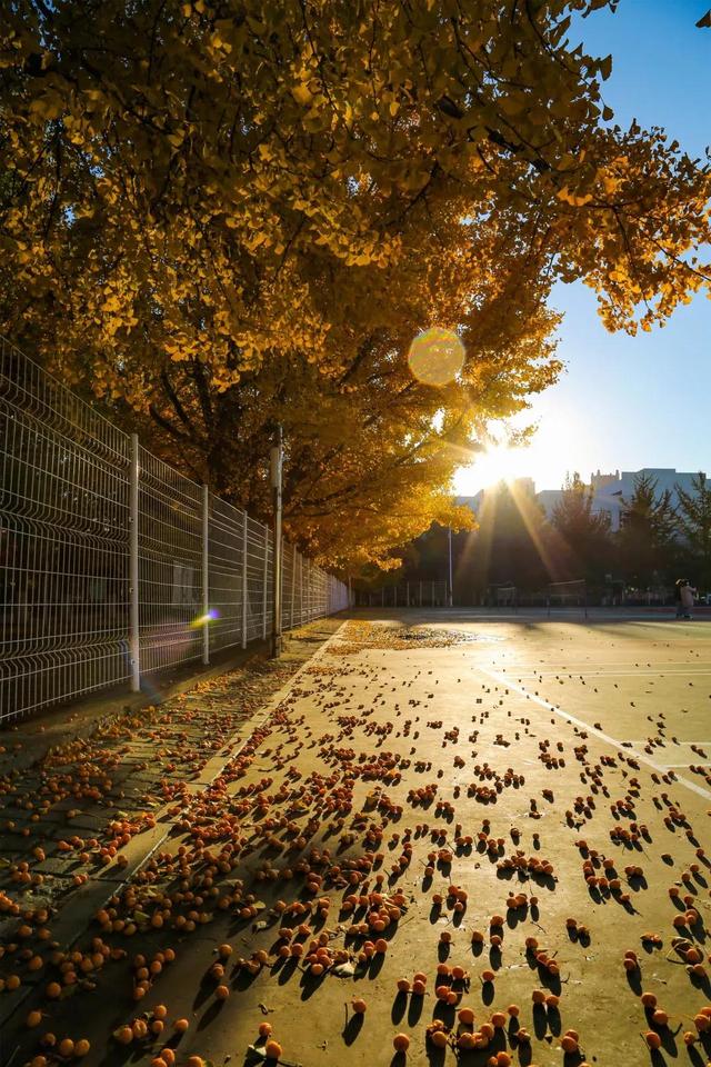 辽东学院宿舍条件怎么样，辽东学院宿舍几人间（辽宁省普通高等院校）