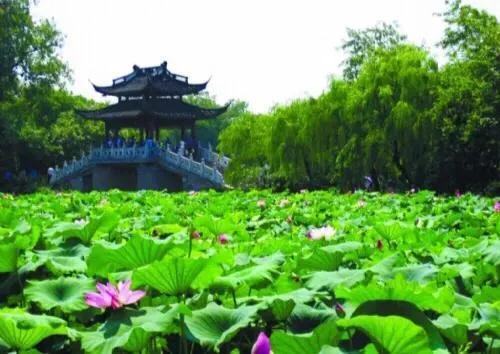 有关月字的诗句，带月字的诗句100首（与月份有关的十二首经典诗作赏析合集）