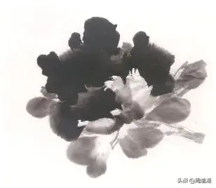 牡丹花头的画法对照表，写意牡丹花头的各种画法