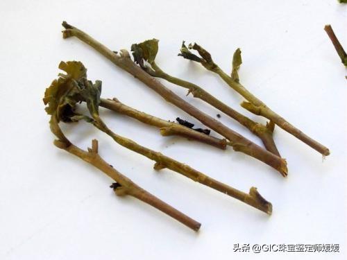 新手戴耳钉小技巧，让你能够顺利地戴上美美的耳环