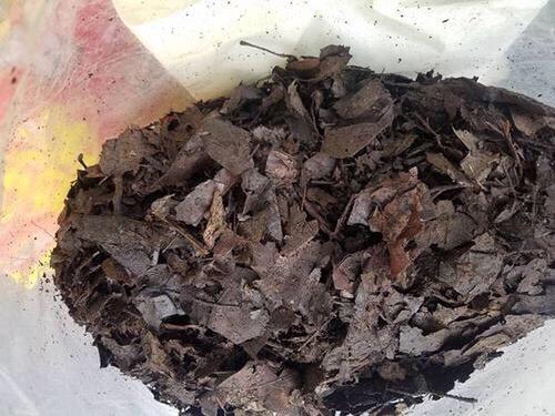 制作花卉营养土的方法，就能自制营养土了