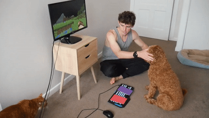 我的世界狗怎么驯服，网友教自家狗子玩《我的世界》