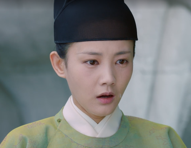 如何评价雪满梁园的小说鹤唳华亭，鹤唳华亭的小说没看懂（萧定权有逆天改命的能力）