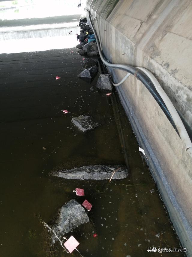 钓黄鳝技巧，用什么诱捕黄鳝最好（20个引钩3把钓钩）