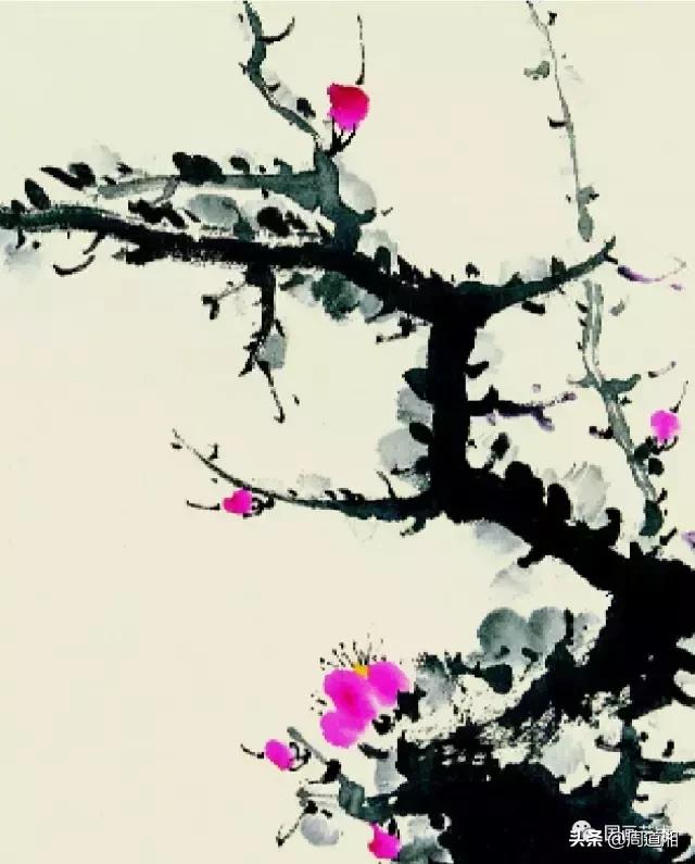 梅花13怎么手绘画，教梅花13怎么画（国画入门教程——梅花的画法）
