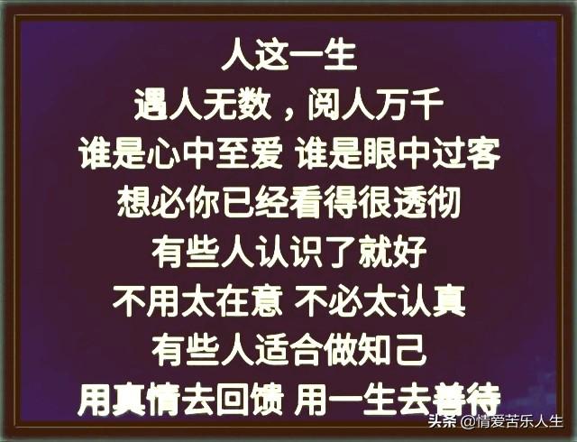 大路朝天各走半边，大路朝天各走一边是什么意思（大路朝天：是狗）