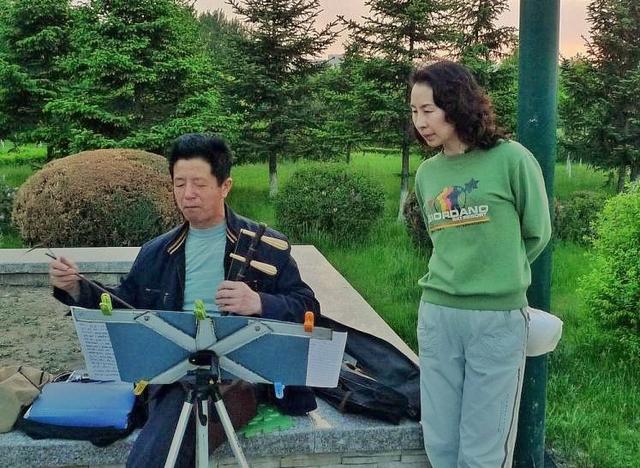 荷兰的国花是什么花，荷兰的国花是什么（荷兰的国花是什么花,也被称为什么）