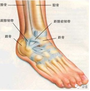 崴脚不拍片怎样判断是否骨折，崴脚怎么判断骨头没事（浅谈“崴脚”你不知道的那点事）