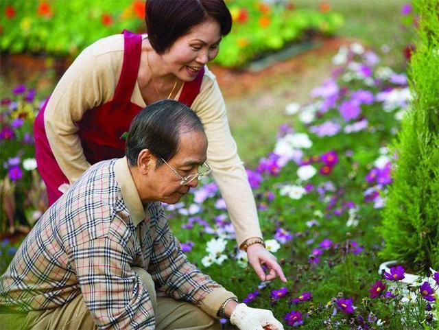垂暮之年是多少岁，什么叫垂暮之年（人生的终点不是被子女赡养和照顾）