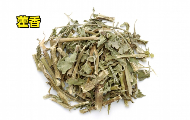 藿香功效和作用，藿香正气合剂的功效（医生说：了解藿香非常实用）