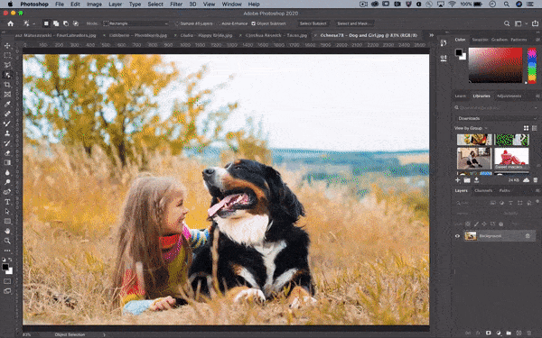 一键抠出细密发丝，Adobe公布逆天AI抠图算法，即将上线Photoshop