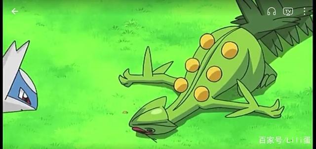 流氓鳄(2胜),蓝蟾蜍,保姆虫第四轮对虎徹:地幔岩,水水獭,炒炒猪(2连胜