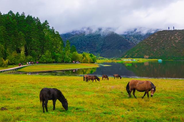 达那是哪里的城市，达拉是哪个国家的城市（距香格里拉约22公里）