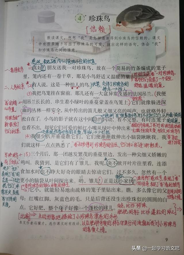 睑怎么读，睑怎么读（睑字组词（部编版语文五年级上册第四课《珍珠鸟》课文导读）