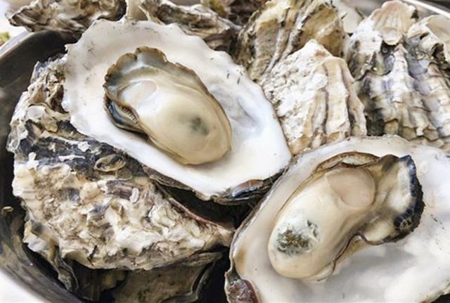 生蚝开锅后煮几分钟就可以了，生蚝水开后煮几分钟（直接下锅煮是错误的）