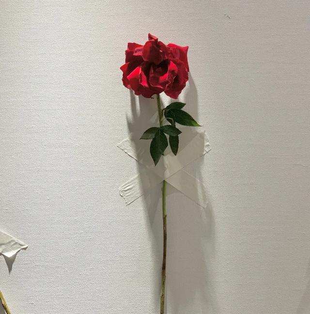 微信壁纸图片大全，微信背景图片（微信朋友圈背景图<60张>）