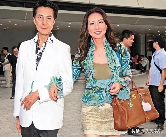 盆景猫（盆景猫百科，港姐又在垃圾堆里捡男人（招财猫盆景怎么养）