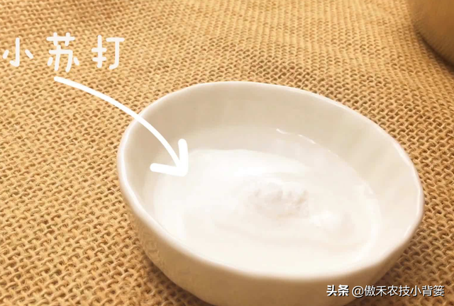 小苏打的学名叫什么，小苏打的学名叫什么碳酸氢钠片（瓜果蔬菜种植巧用小苏打）