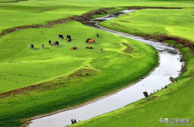 酥油的功效与作用，西藏酥油的功效与作用（有高原特殊水质的辅助）