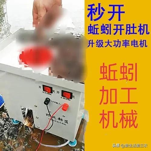 十大偏门行业(怎样能赚钱最快最安全)