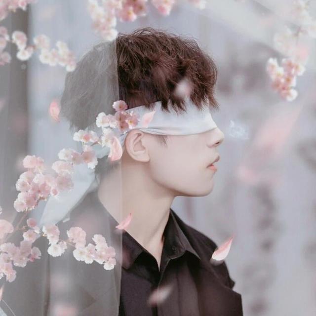 tfboys头像，TFBOYS微信（明星头像壁纸）