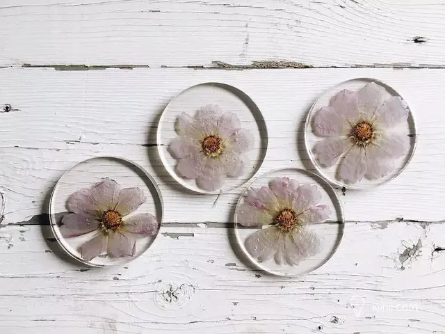 滴胶怎么做，鲜花滴胶怎么做（水晶滴胶的神奇封印术）