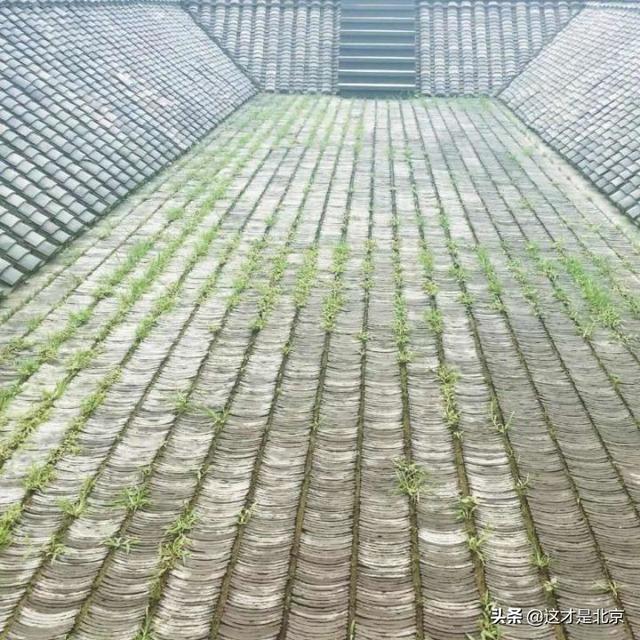 北京什么地方好玩，北京有什么好玩的地方（我私藏的北京16个小众又好玩的地方）