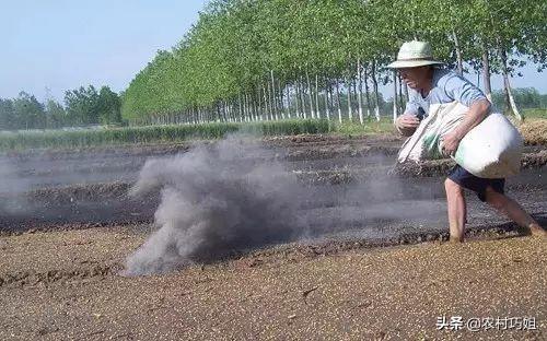 草木灰的作用化学(草木灰撒在地里有什么作用)