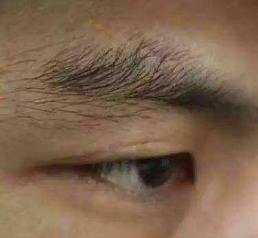 不要以为自己的眉毛浓密就自我感觉良好,如果眉毛浓密看起来杂乱无章
