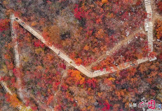美丽的秋天图片，简单的秋天图片（来看全国各地五彩斑斓的迷人秋色）