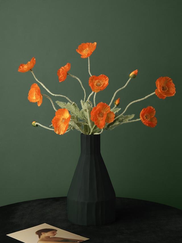 香皂花是什么材质做的，肥皂花是什么材料的（最适合懒人养的花）