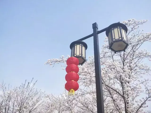 苏州附近可以免费爬山的景点，苏州这10座绝美山峰，等你来