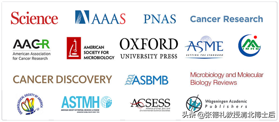 学术界学校模拟怎么玩（新冠疫情下）